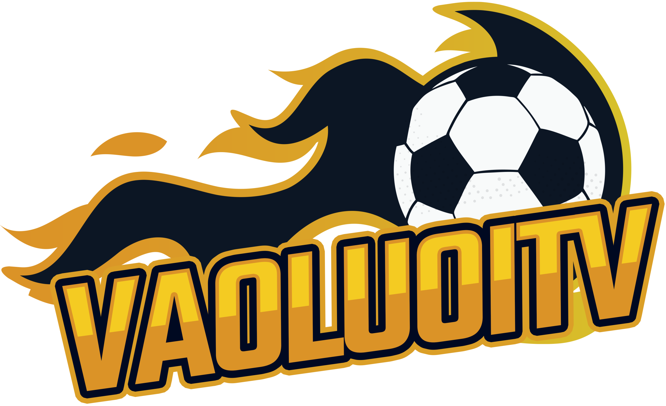 Vaoluoitv Logo