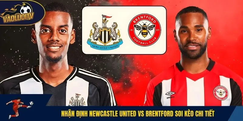 Nhận định Newcastle United vs Brentford soi kèo chi tiết